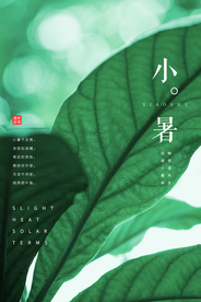 小暑节气古风传统活动海报素材