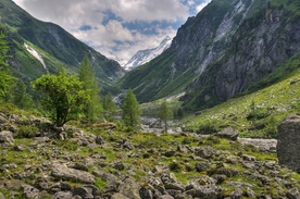 山