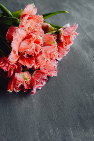 花束花艺插花桌花捧花图片