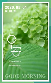 小清新早安图