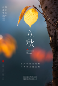 立秋气节传统银杏秋天复古海报