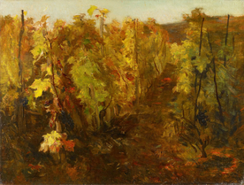 手绘插画葡萄园