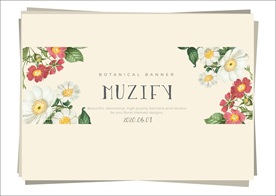 小雏菊 花朵边框