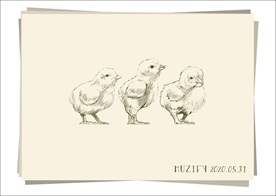 小雏鸡 素描画