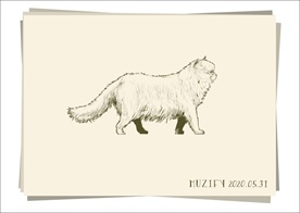猫咪 素描画