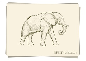 大象 素描画