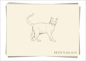 短毛猫 素描画