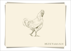 公鸡 素描画