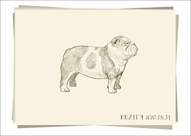 法国斗牛犬 素描画