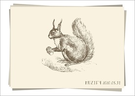 松鼠 素描画