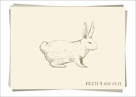 白兔 素描画