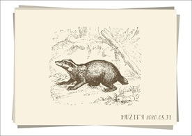 地鼠 素描画