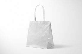 层压无纺布手提袋03模型套装
