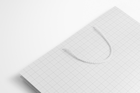 欧洲手提包模型组样机vi