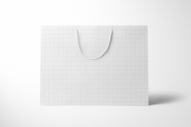 欧洲手提包模型组样机vi