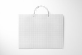 欧洲手提包模型组样机vi