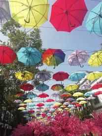 五颜六色的雨伞