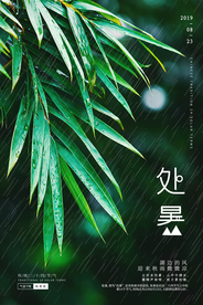 处暑古风传统气节清新海报展板