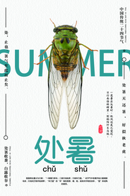 处暑古风传统气节清新海报展板