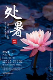 处暑古风传统气节清新海报展板