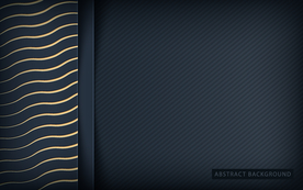 抽象条纹背景 碳纤维黑金