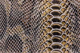 鳄鱼皮纹理