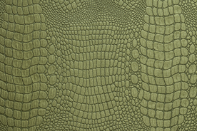 鳄鱼皮纹理