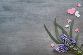 花卉背景 葡萄风信子