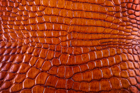 棕色鳄鱼皮纹理