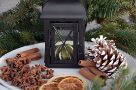 肉桂玉桂调料图片