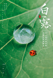 白露传统古风节气活动海报展板