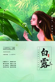 白露传统古风节气活动海报展板