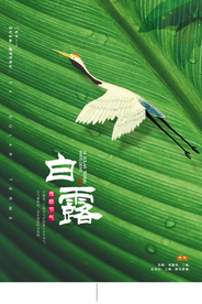 白露传统古风节气活动海报展板