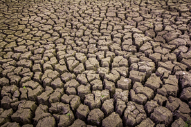 干旱土地