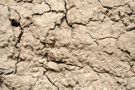干旱土地