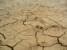 干旱土地