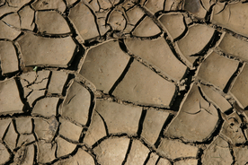 干旱土地