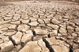干旱土地