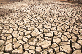 干旱土地