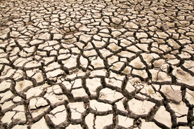干旱土地