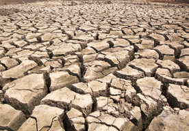 干旱土地