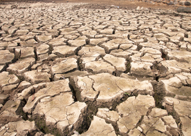 干旱土地