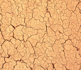 干旱土地