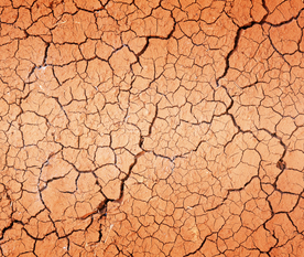 干旱土地