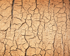 干旱土地