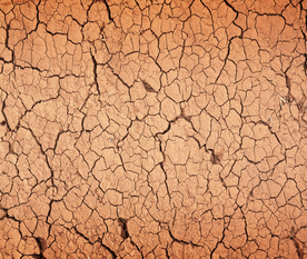 干旱土地