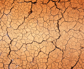 干旱土地