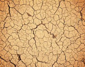 干旱土地