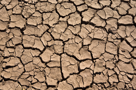 干旱土地