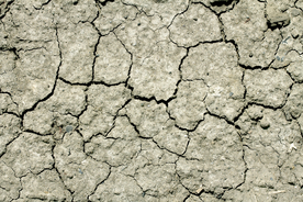干旱土地